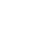 IC HOLDING