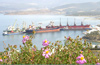 GÜLLÜK PORT 2